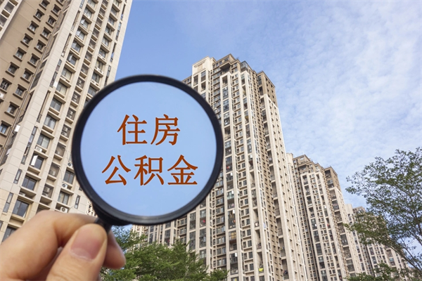 青岛上海封存公积金代提（青岛上海封存公积金代提多久到账）